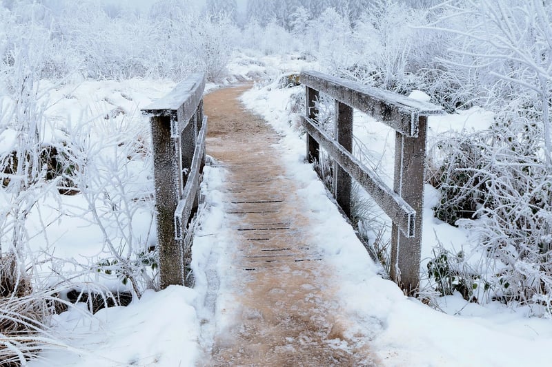 Pathway Options