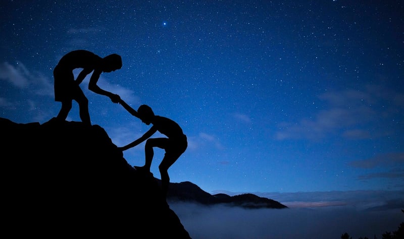 Mentorship Programs